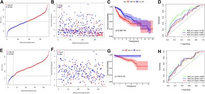 A novel myeloid cell marker genes related signature can indicate immune infiltration and predict prognosis of hepatocellular carcinoma: Integrated analysis of bulk and single-cell RNA sequencing